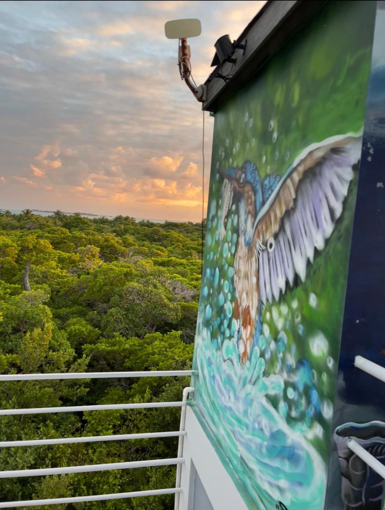 Hotel Costa Nube Caye Caulker Zewnętrze zdjęcie