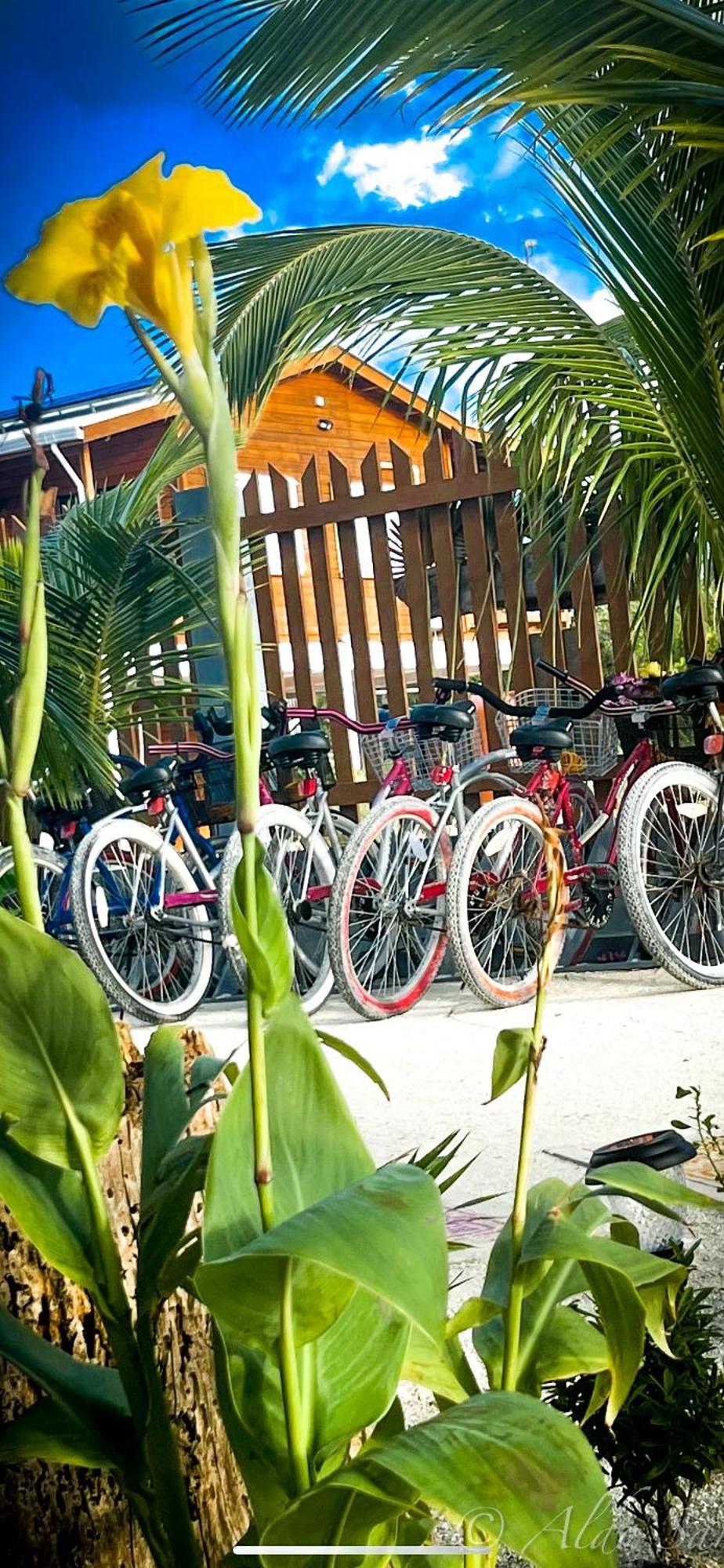 Hotel Costa Nube Caye Caulker Zewnętrze zdjęcie
